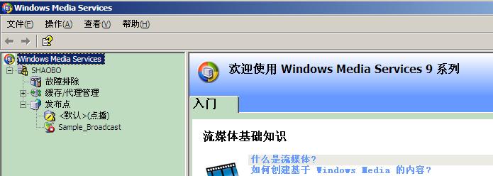 Windows Midia Servers控制台